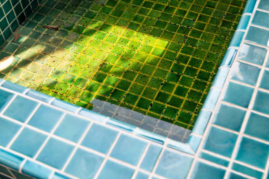 HORROR HUE: The right conditions post storm can potentially affect your pool and turn it green overnight. Photo: Shutterstock.