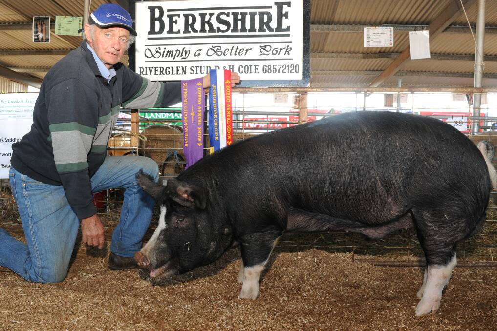 Pig farmers rebel against new national PigPass system | Forbes ...
