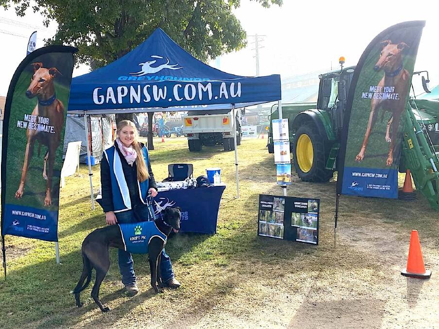 Numerous adoption days are run across the state by GRNSW's Greyhound As Pets team. Photo: Supplied