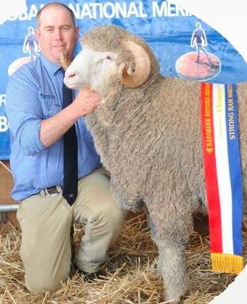 Woolly friends shine at sheep show.