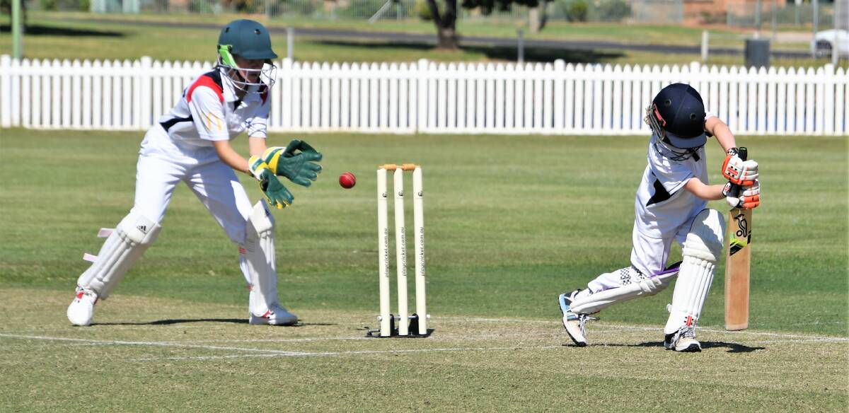 GALLERY: Parkes v Forbes in under 12s junior rep cricket grand final. Photos: Jenny Kingham.