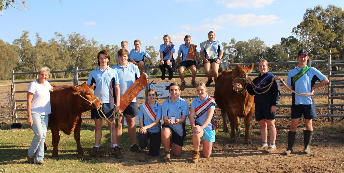 Red Bend Catholic College's Cattle team reflects on Sydney Royal results and prepares for Dubbo Show.