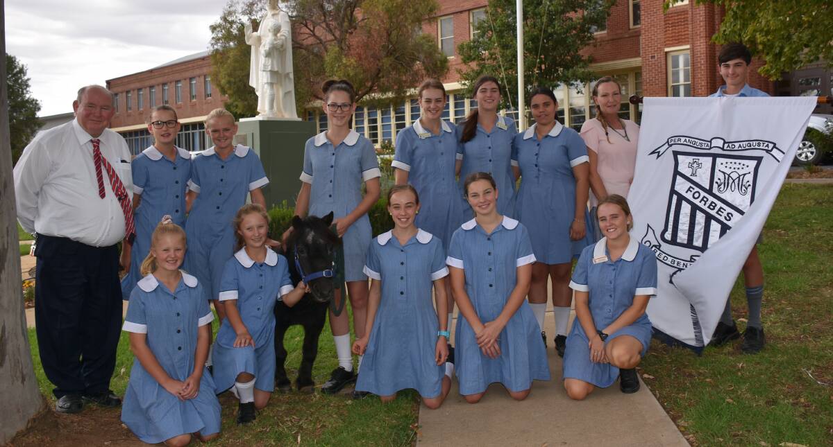 Several Red Bend Catholic College students will be competing and volunteering in the Inaugural Autumn Horse Show.