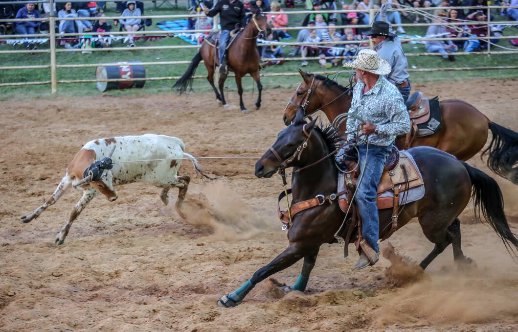 Tim Childs with Jewel n Half competing in a Team Roping event in 2017. this was the first year competing in rodeos for Jewel n Half. Photo courtesy of A. McIlrick Images.