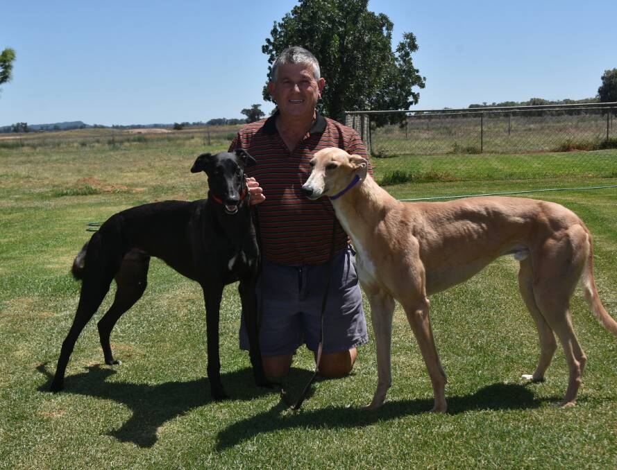 Forbes trainer Raymond Smith is confident that Jungle Deuce (left) will do well at Temora today. File photo.