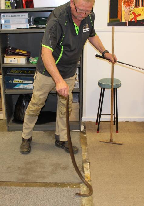Paul Newcombe has relocated 113 snakes in the region during this current snake season.