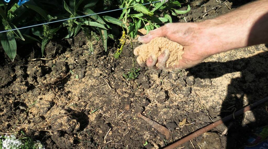 Help improve soil health by adding minerals and nutrients. Photo: Hannah Moloney. 