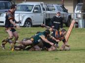 CLUTCH: Canowindra fullback Jayden Brown scores a try to tie the match with Trundle. Photo: LACHLAN HARPER 