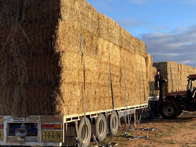 Abput 300 tonnes of hay is being delivered by Rural Aid to drought-affected farms in SA.