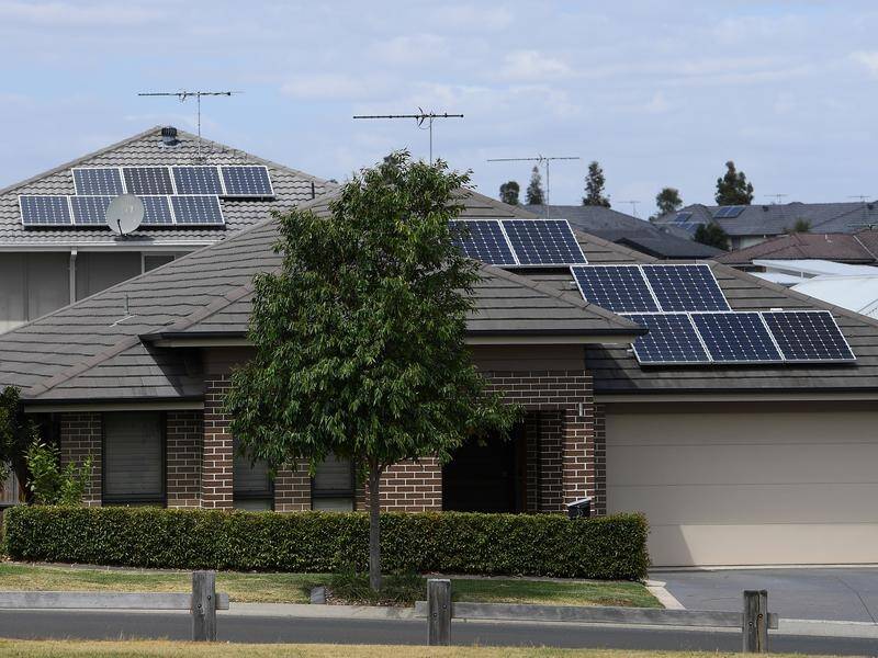 A monthly cap on government rebates for solar panel installations in Victoria is hurting businesses.