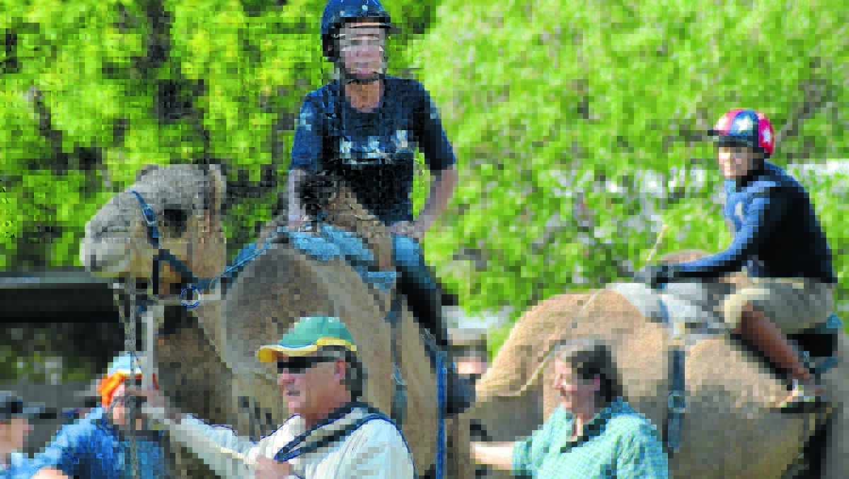 A record crowd attended this year's Forbes Camel Races on a perfect Good Friday.