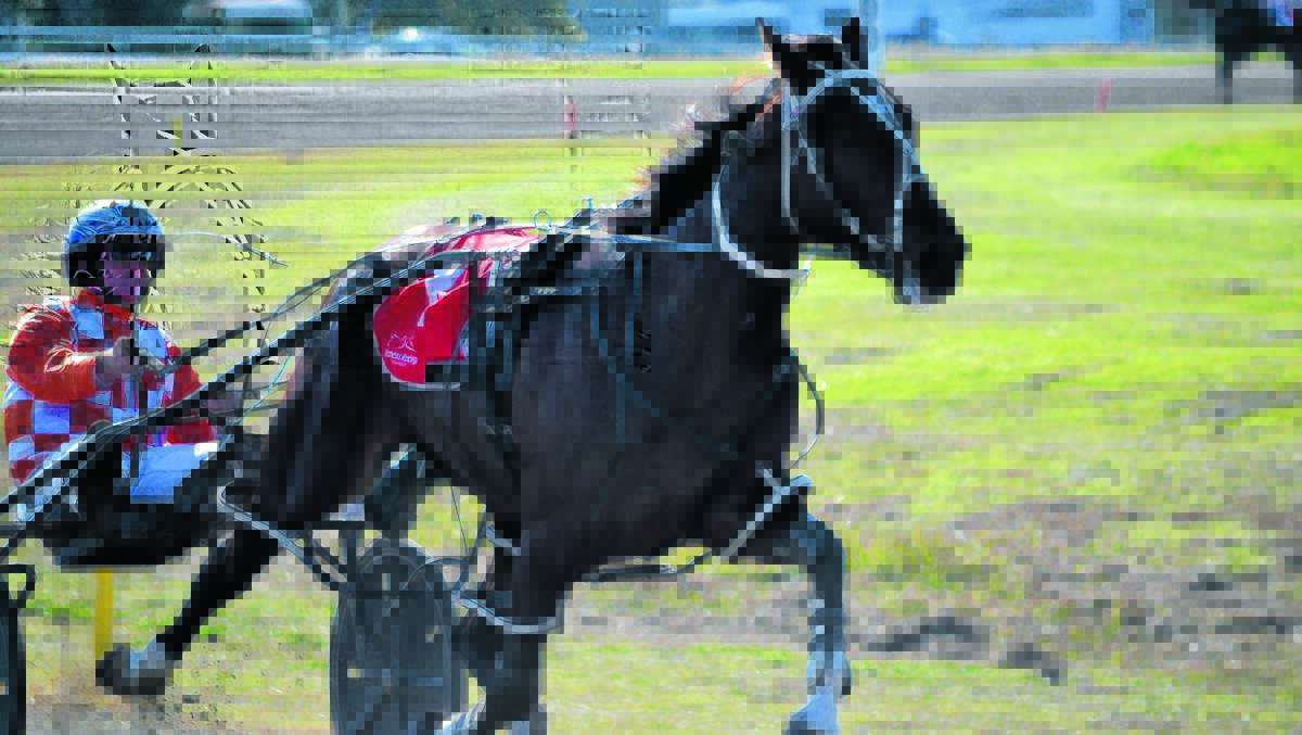 Mat Rue driving Gotta Go Jazzy Jet, trained by Forbes’ Phil Thurston, at Cowra Paceway last weekend.  Mat Rue also drove Freedom Is for Thurston at Young last Friday and they secured a slot in the $25,000 AGL Country to Menangle series to be contested this Saturday night. harness racing thurston