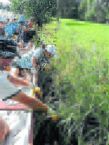 Forbes Dragon boaters participated in Clean Up Australia Day on Sunday. 