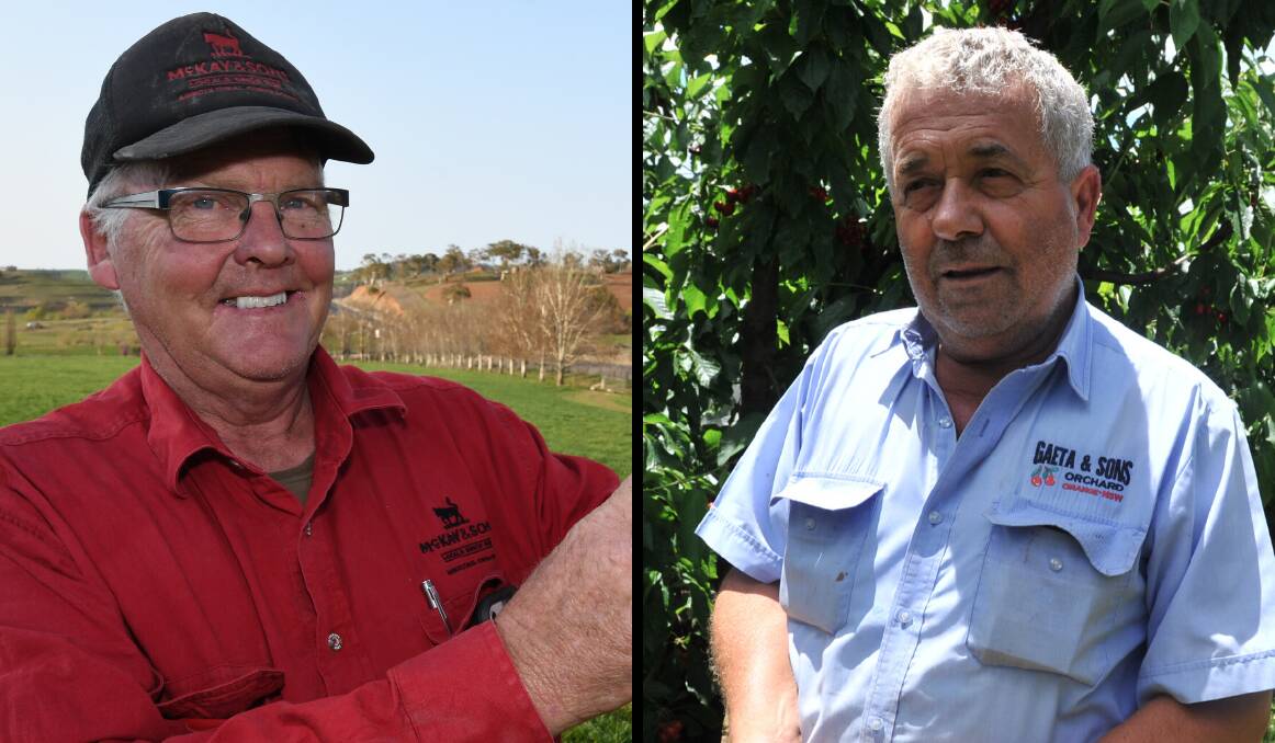 ON THE LAND: Bathurst grazier David McKay and Orange orchardist Guy Gaeta said the COVID-19 pandemic has led to panic-buying among farmers.