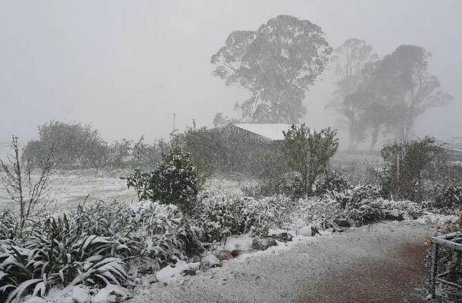 Snowfall at Snug Farm in Chatham Valley in the NSW Central Tablelands. Picture by Instagram/@snug_farm