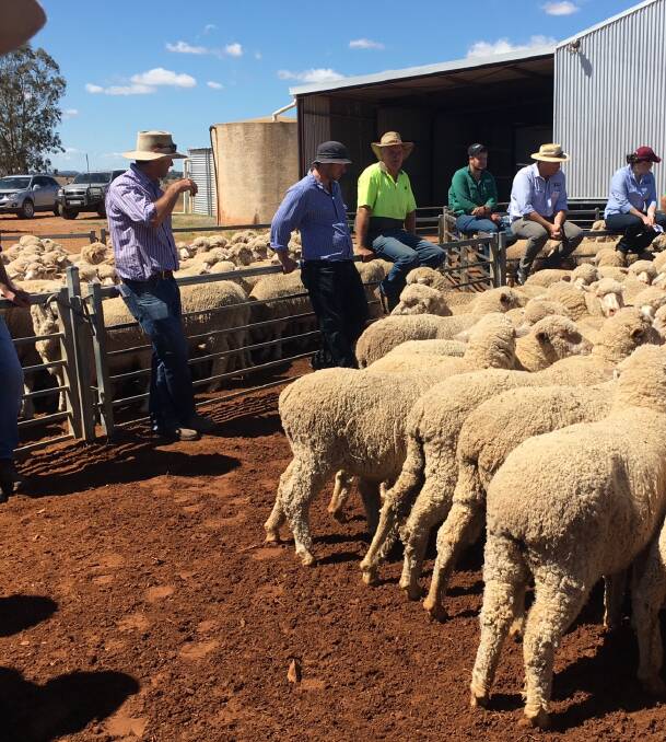 2019 WINNERS: Last year's winners Nick and Ian Wescott addressed the crowd during the judging of the Doug Bicket Memorial Ewe Competition. Photo: Submitted